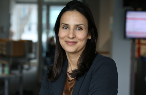 Wie die Lernplattform der Bürgerakademie funktioniert Einführung